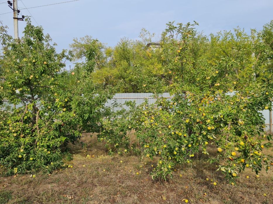 Участок 5 соток земля