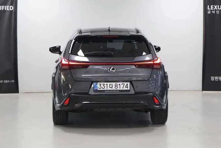 LEXUS UX 300h бензин+гибрид