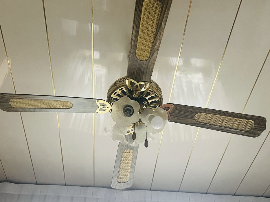 Люстра с вентилятором