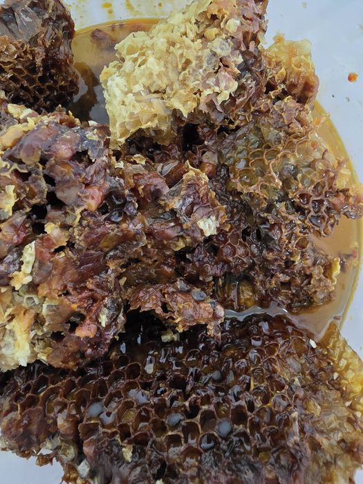 Натуральные пчелиные соты