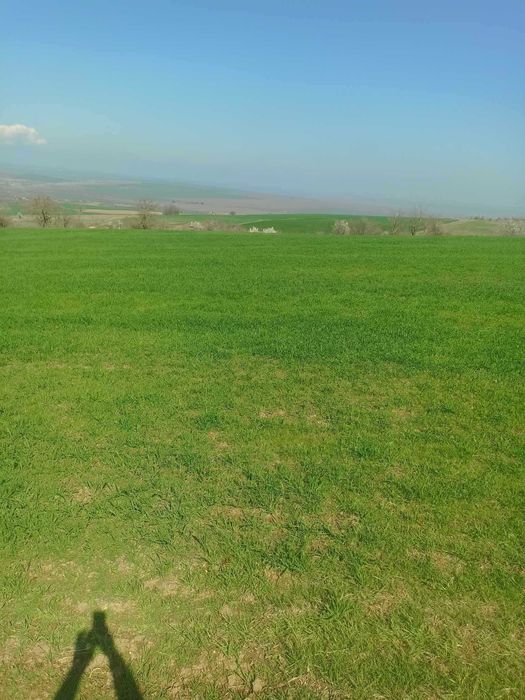 Продава се Парцел в Варна, Аспарухово - 1000 кв.м за 15 €/кв.м - Снимка #4