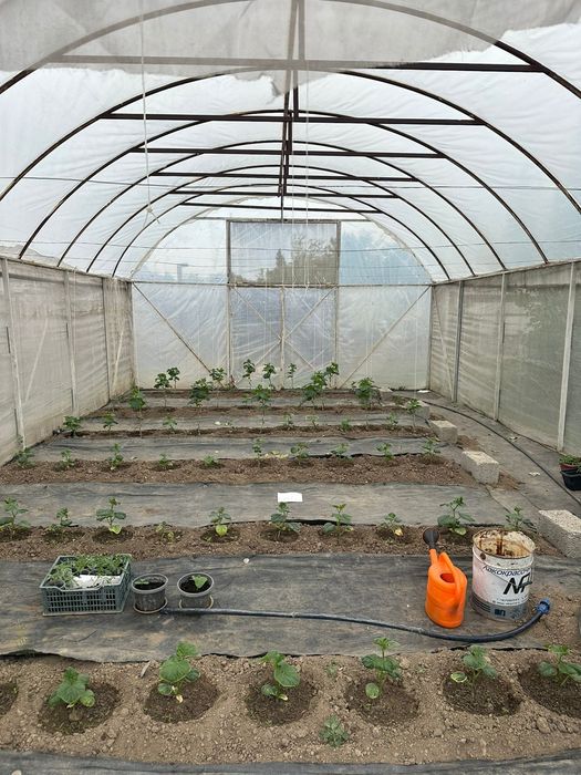 Теплица в комплекте