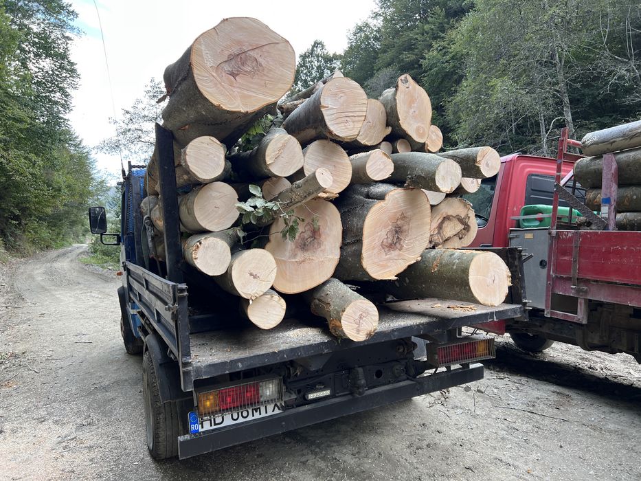 Lemn de foc material lemnos