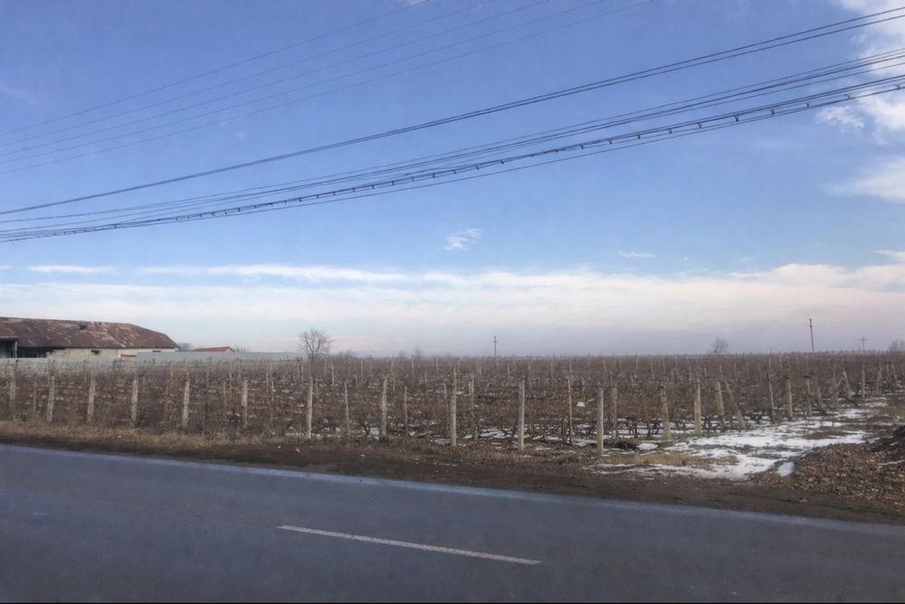 De vanzare teren Odobesti, Vrancea