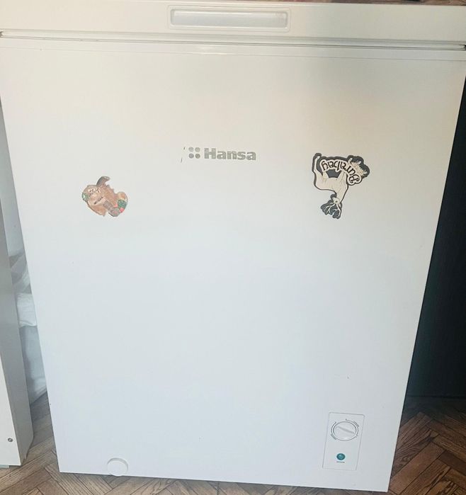 Морозильник Hansa FS1004.4W 99 л белый