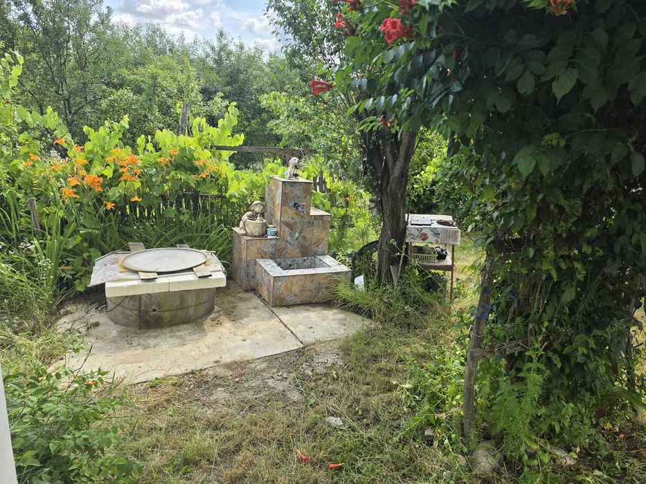 Casă de vânzare în Valea Brazilor, județul Argeș – teren 2.896 mp