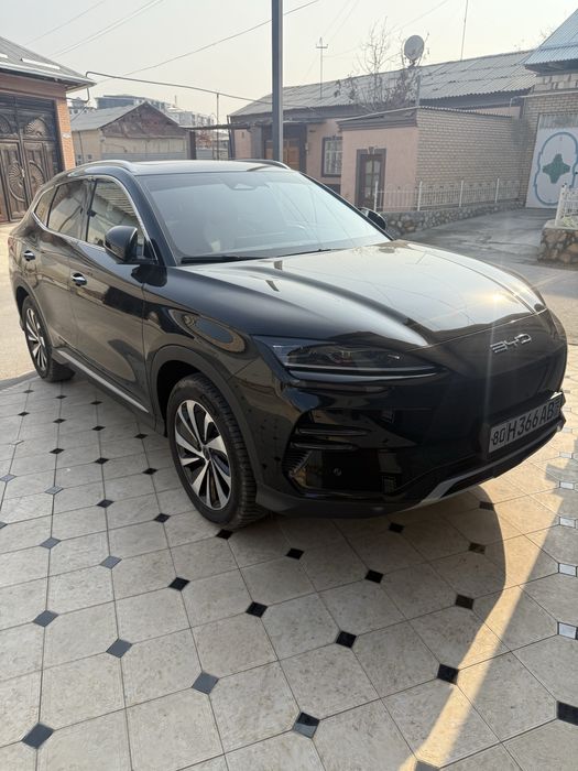 BVD Song Plus EV CHempion 605