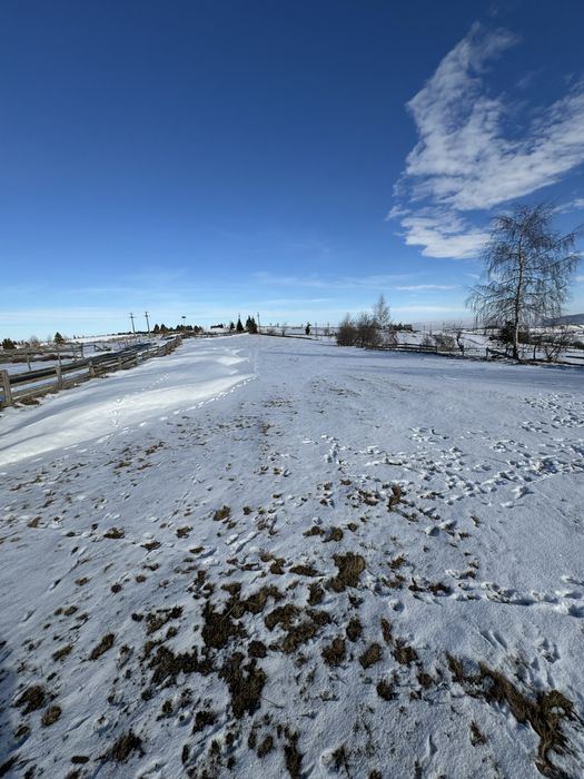 Teren De Vanzare Marisel