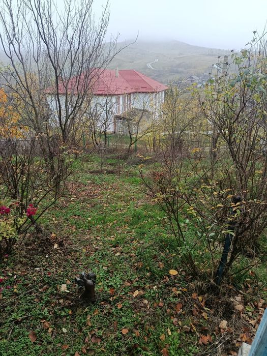 Casă și gradina-Draxeni com.Rebricea jud.Vaslui