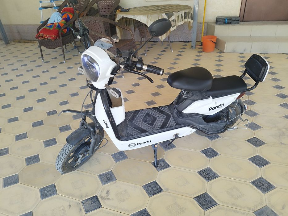 Панда скутер с гарантией