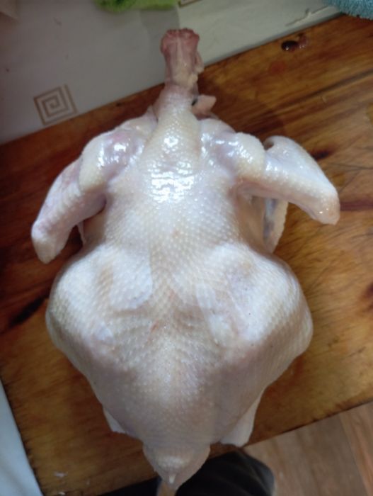 Домашний Бройлер