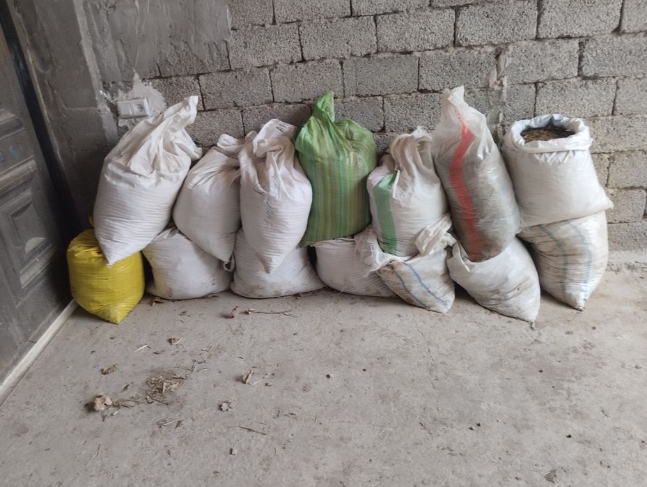 Mol gungi bor kimga kerak busa 10000 dan qopi