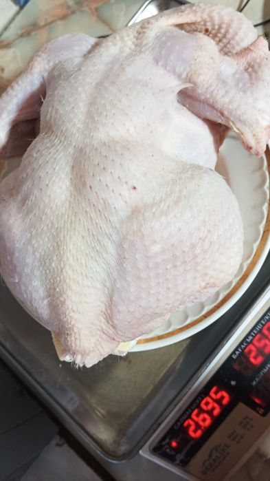Домашнее мясо бройлера/Экологически чистое