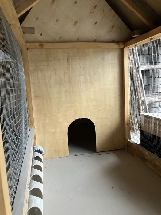 товук катак янги