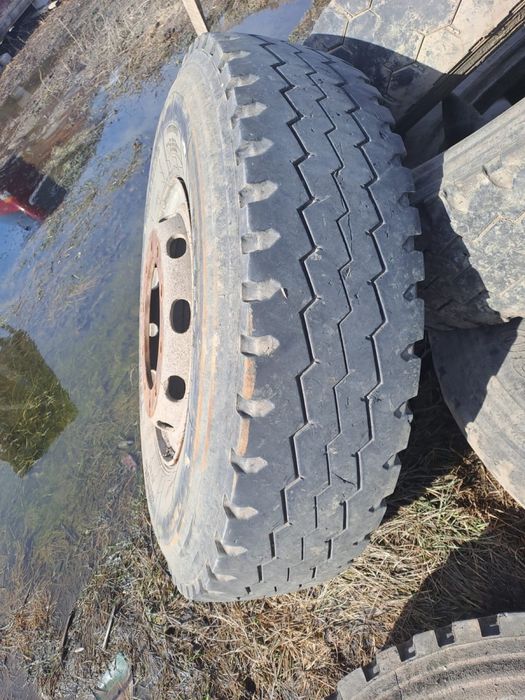 Ховога донгелек сатылады