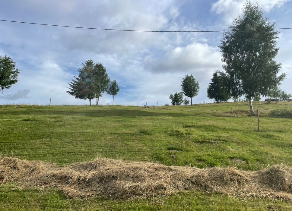 Teren parcelabil la munte în Măguri, Măguri-Răcătău,9185 mp,pt Cabana