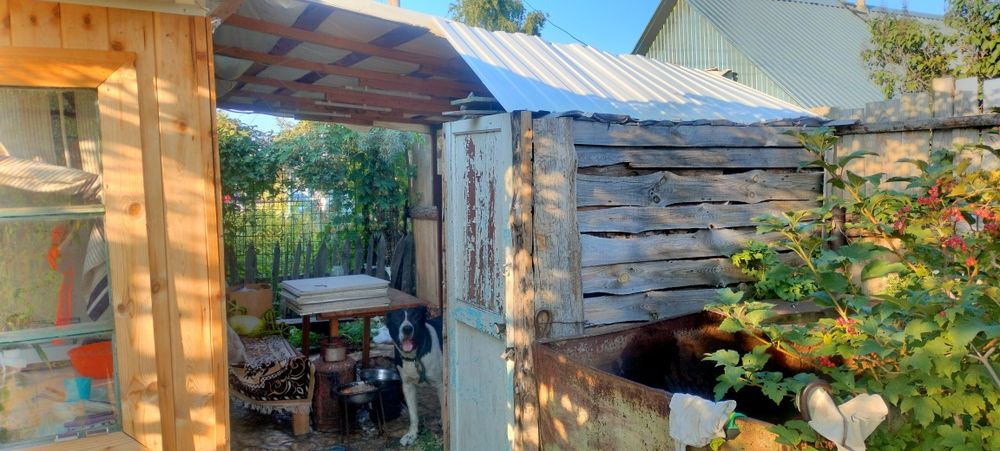 Продам дачу Геолог 6 соток