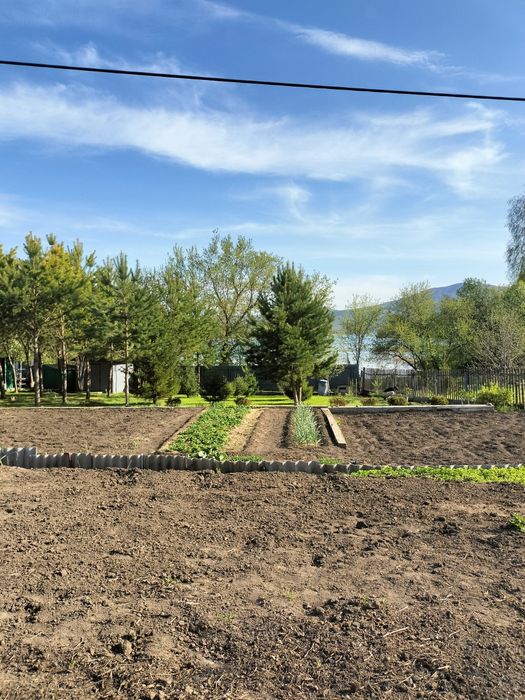 Продам дачу на берегу Иртыша