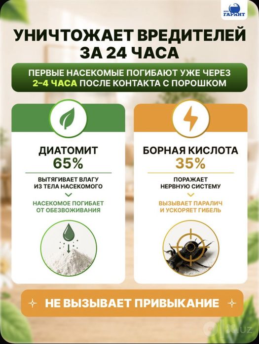 Эко Абсолют от клопов и блох и других насекомых