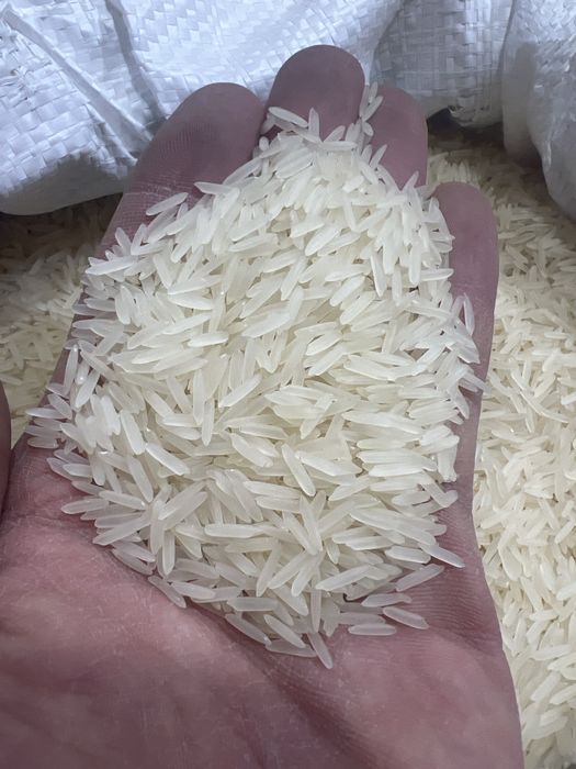 лазер голд рис оригинал ташкент