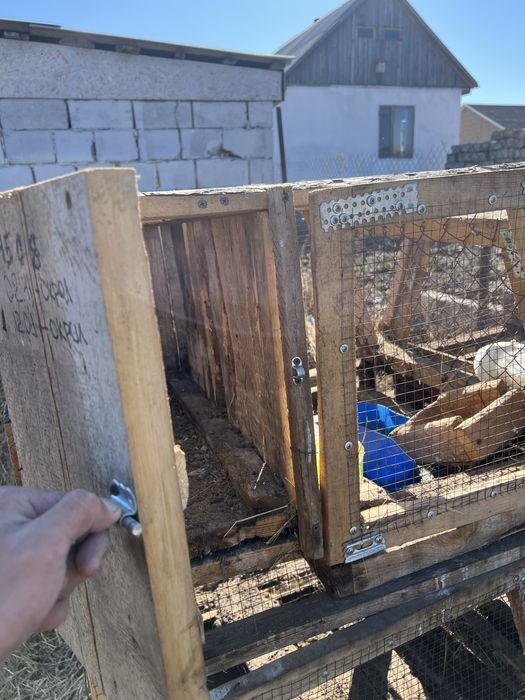 Продаи клетки для кроликов кролят