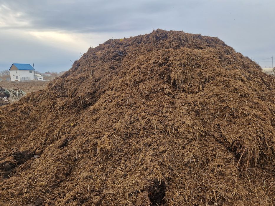 Свежий конский навоз перегной