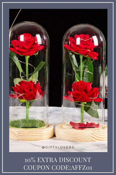 Роза в Кольбе 2800