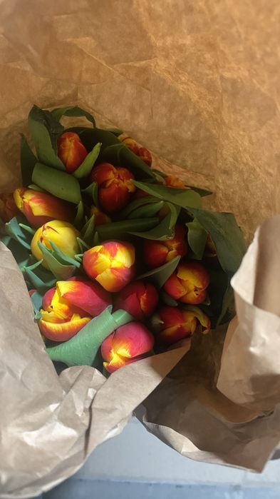 Тюльпаны оптом от производителя