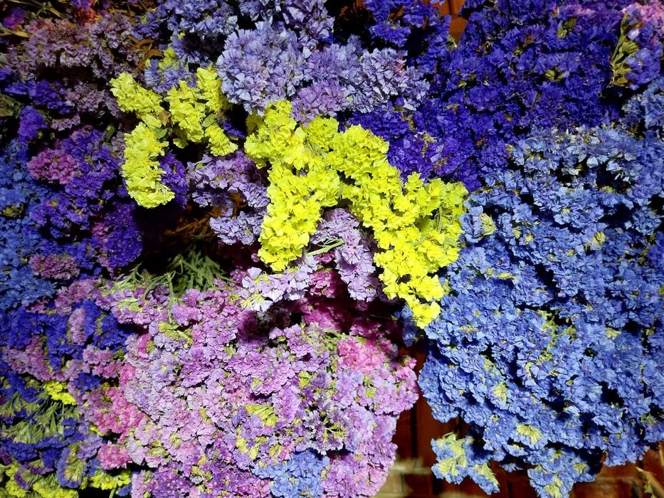 Flori uscate, buchete sau materie prima