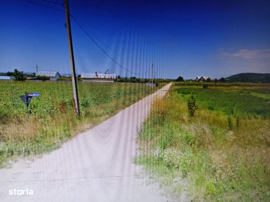 Teren Stefanesti / Muzeul Golesti, 2.956 mp