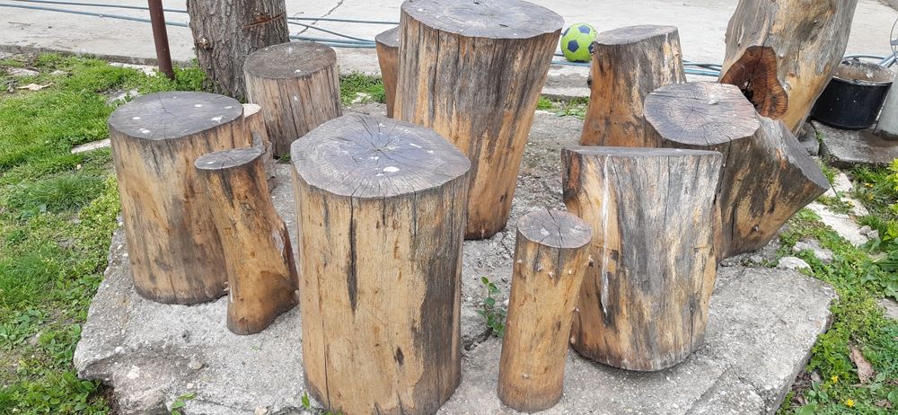 Trunchi (Butuci) din Nuc