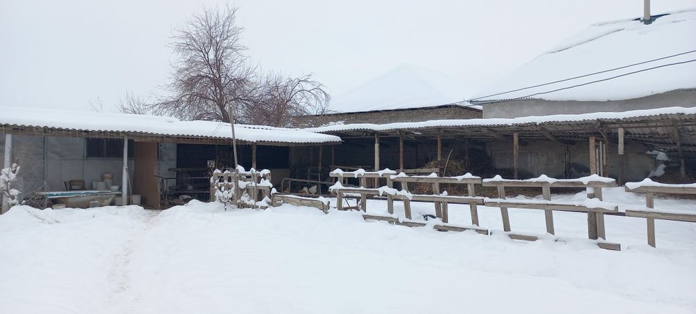 5 бөлмелі үй сатылады