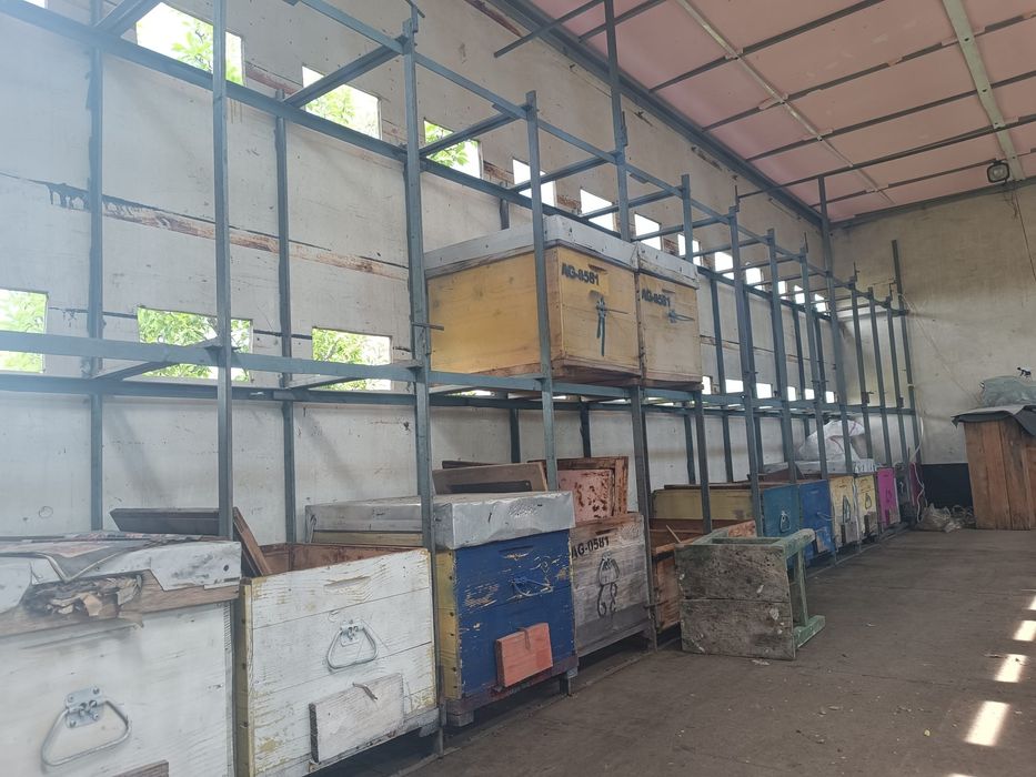 Stupină, Pavilion apicol omologat Iveco Euro Cargo