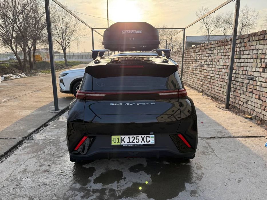 BYd seugell 2024 года