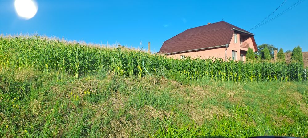 Vând teren intravilan 10000 mp