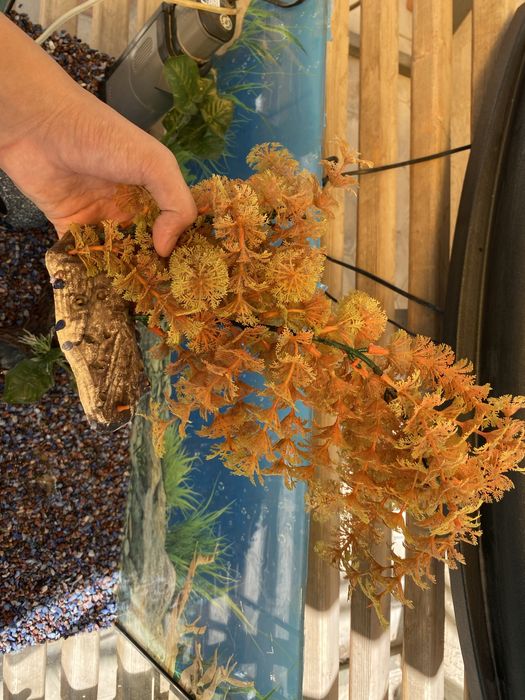 Аквариюм с подсветкой