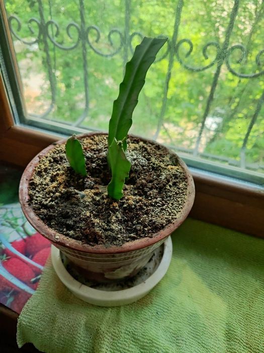 Все для садоводства