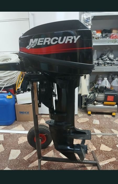 Barca Rib cu motor Mercury 15cp