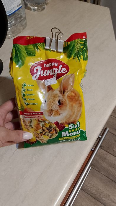 Продам декоративного кролика