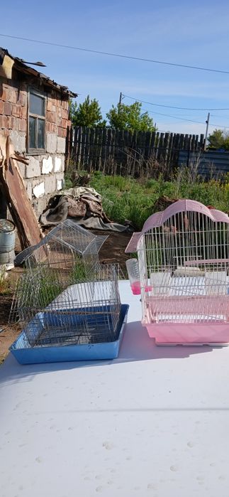 Продам Клетки Для Попугая.