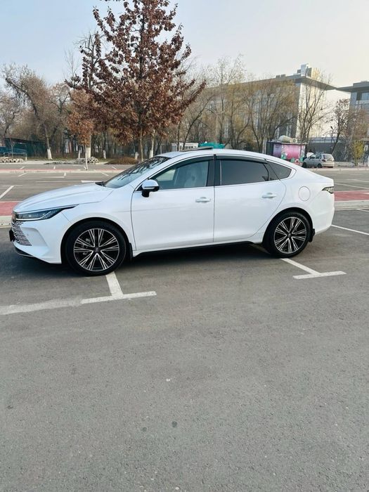 Byd Chazor 120 full