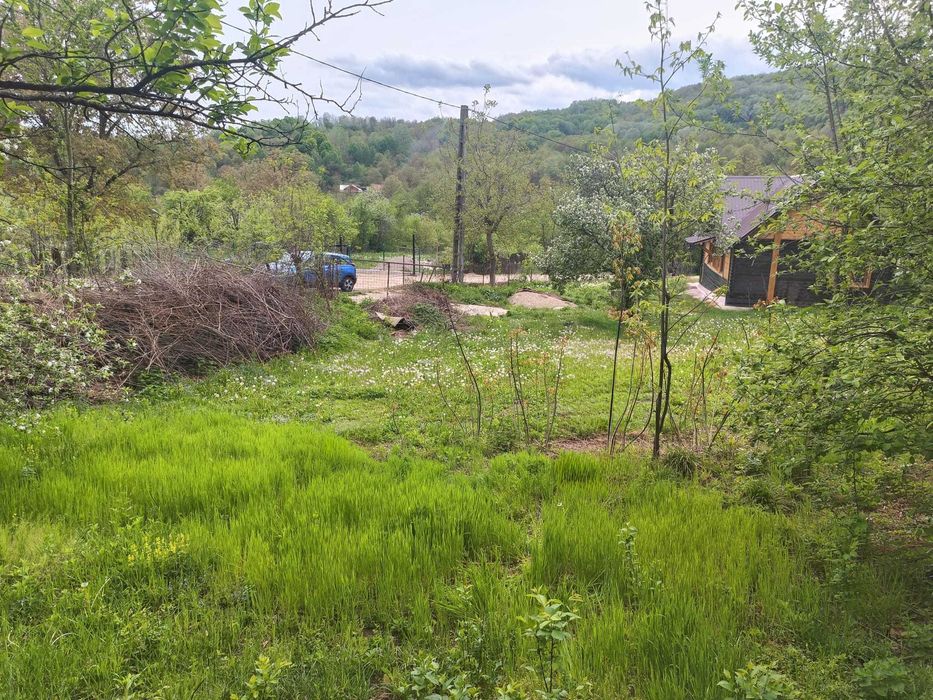 Vând teren intravilan în CĂRBUNEȘTI-PRAHOVA. Super-preț!!!