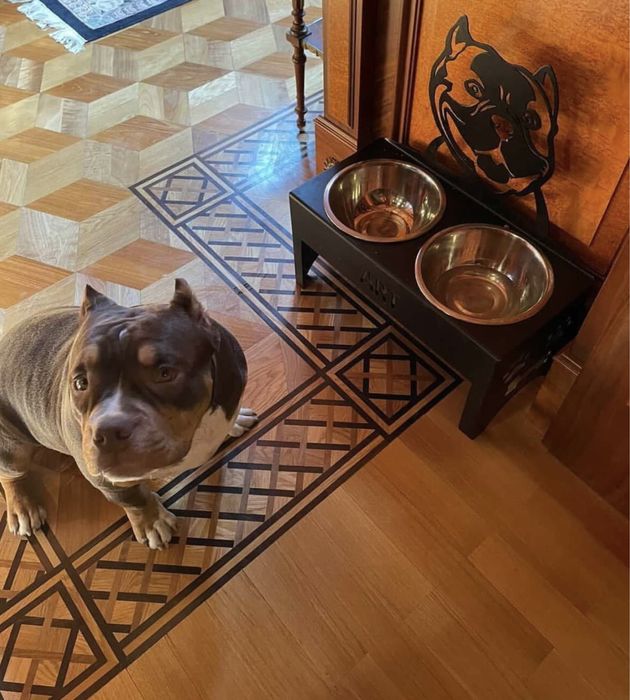 Подставки для мисок собачкам и кошечкам