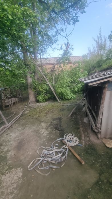Утин хар хил ёнгок терак тол.