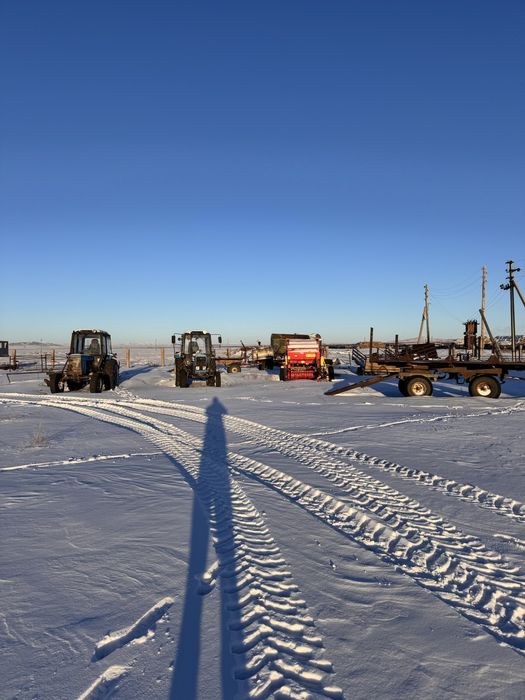 Крестьянское хозяйство