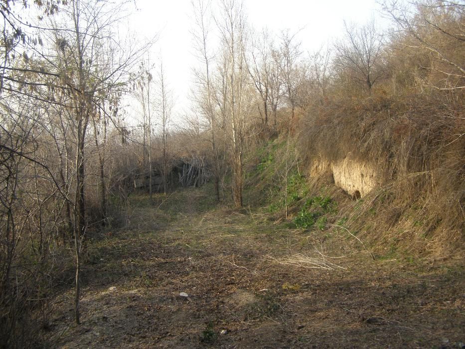 Земельный участок