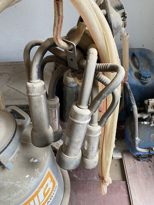 Молокоотсос для животных.