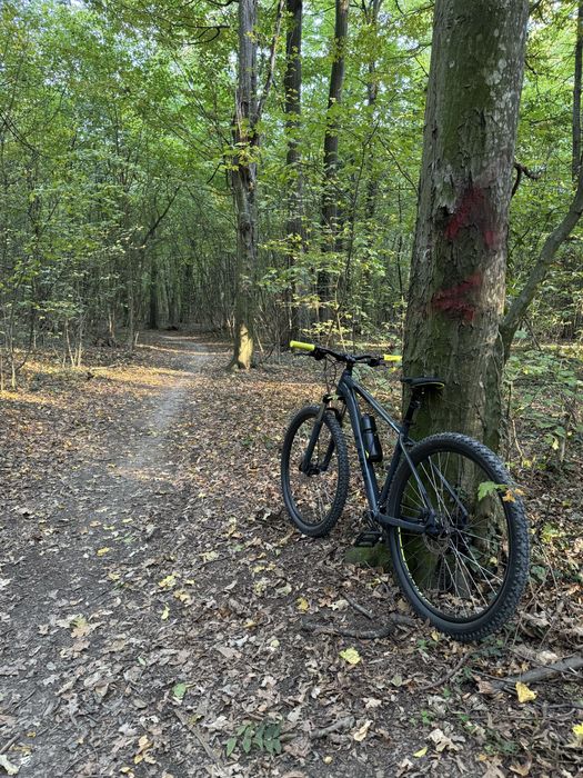 Bicicleta MTB Hardtail Cube Aim Pro marime L