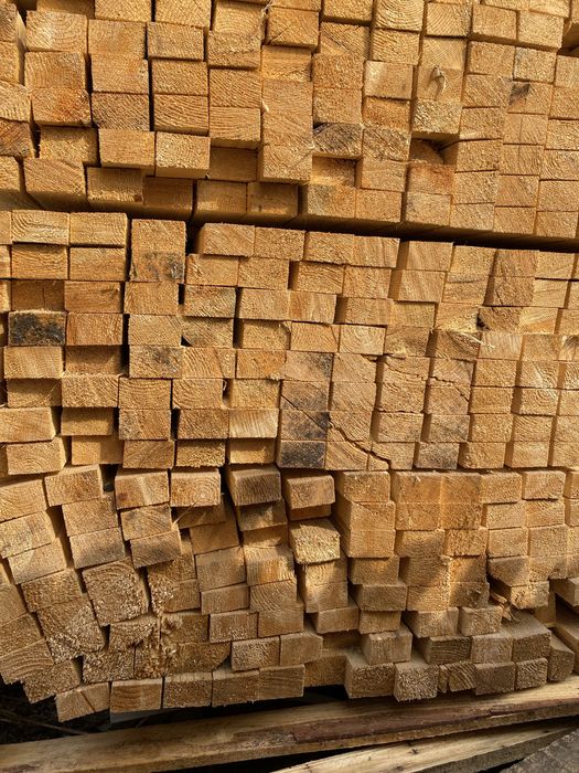 Cherestea Rasinoasa Molid si Lambriu