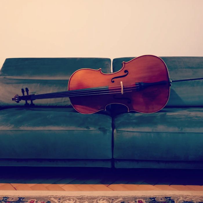 Violoncel maestru Strad copy
